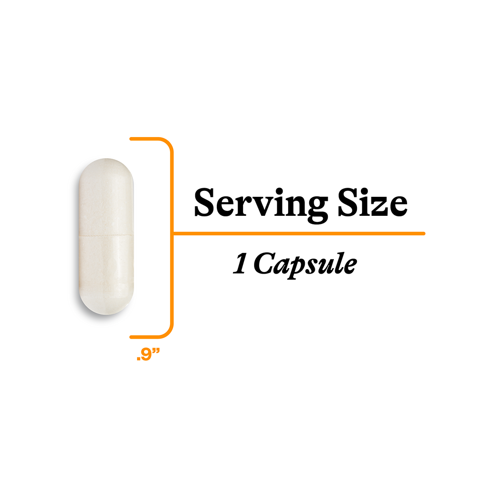 Acetyl-L-Carnitine - Smart Routine Choice