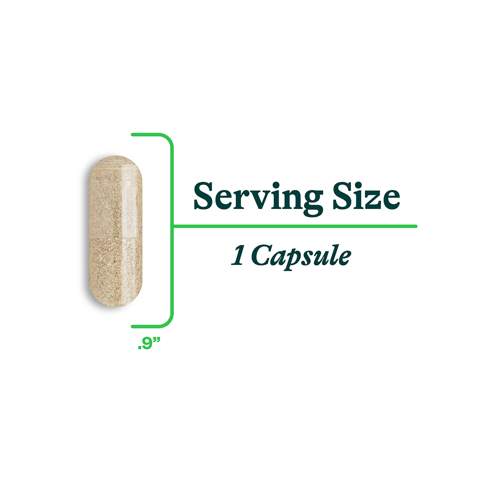 Bile Nutrients - Smart Routine Choice
