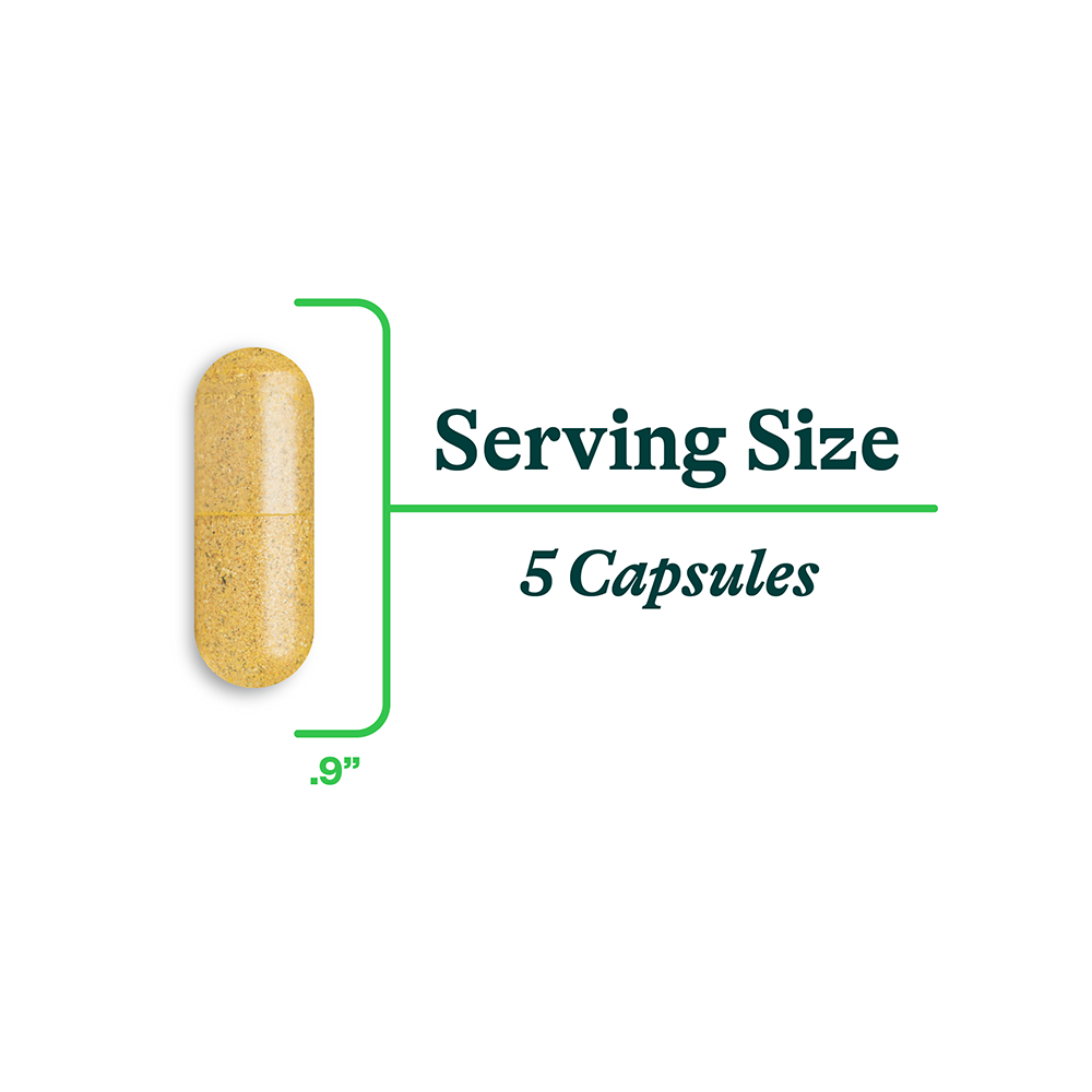Gut Nutrients - Smart Routine Choice