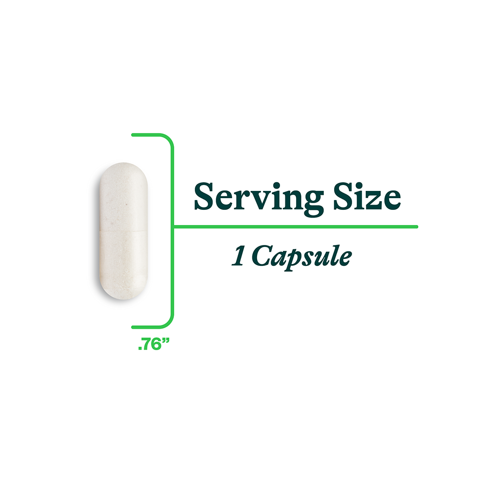 DAO Enzyme - Smart Routine Choice