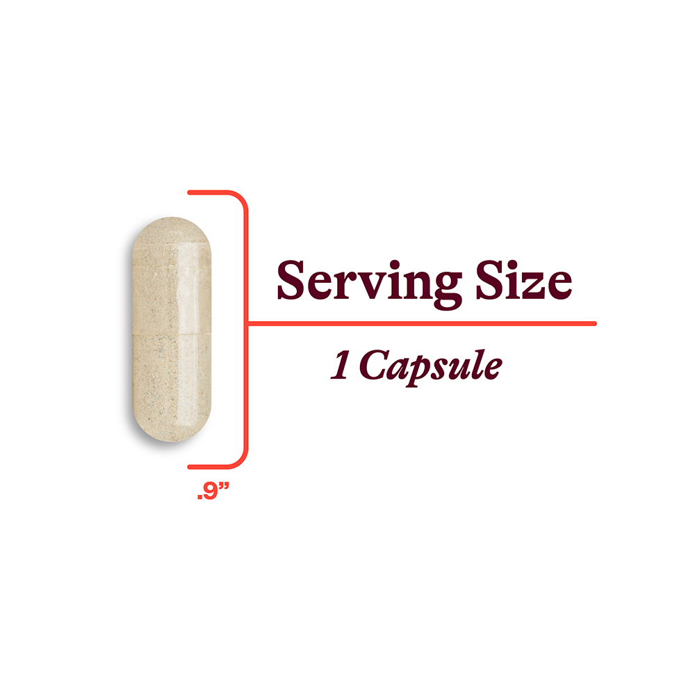 Multivitamin One MF - Everyday Health Routine