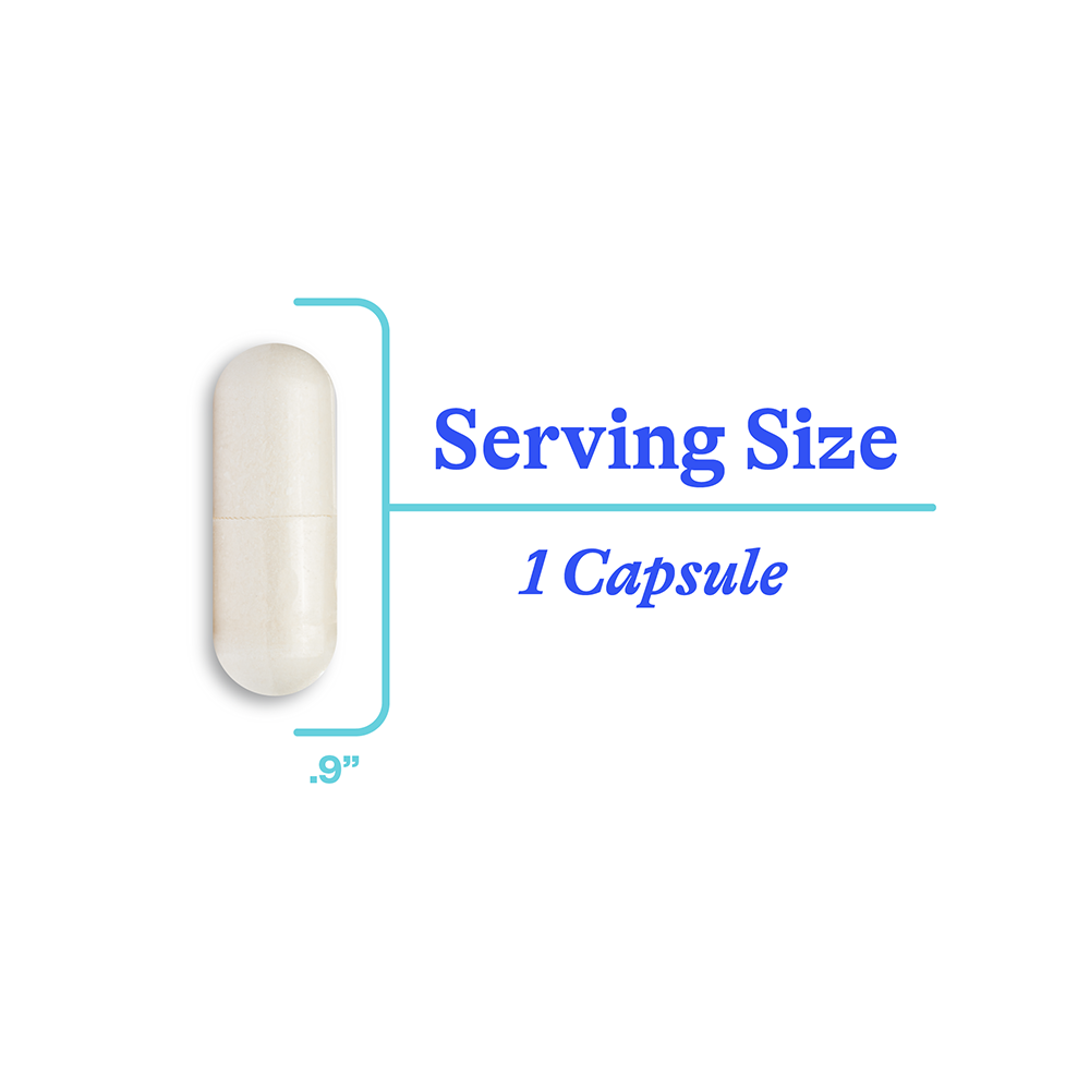 NAC Supplement (N-Acetyl-L-Cysteine) - Everyday Health Routine