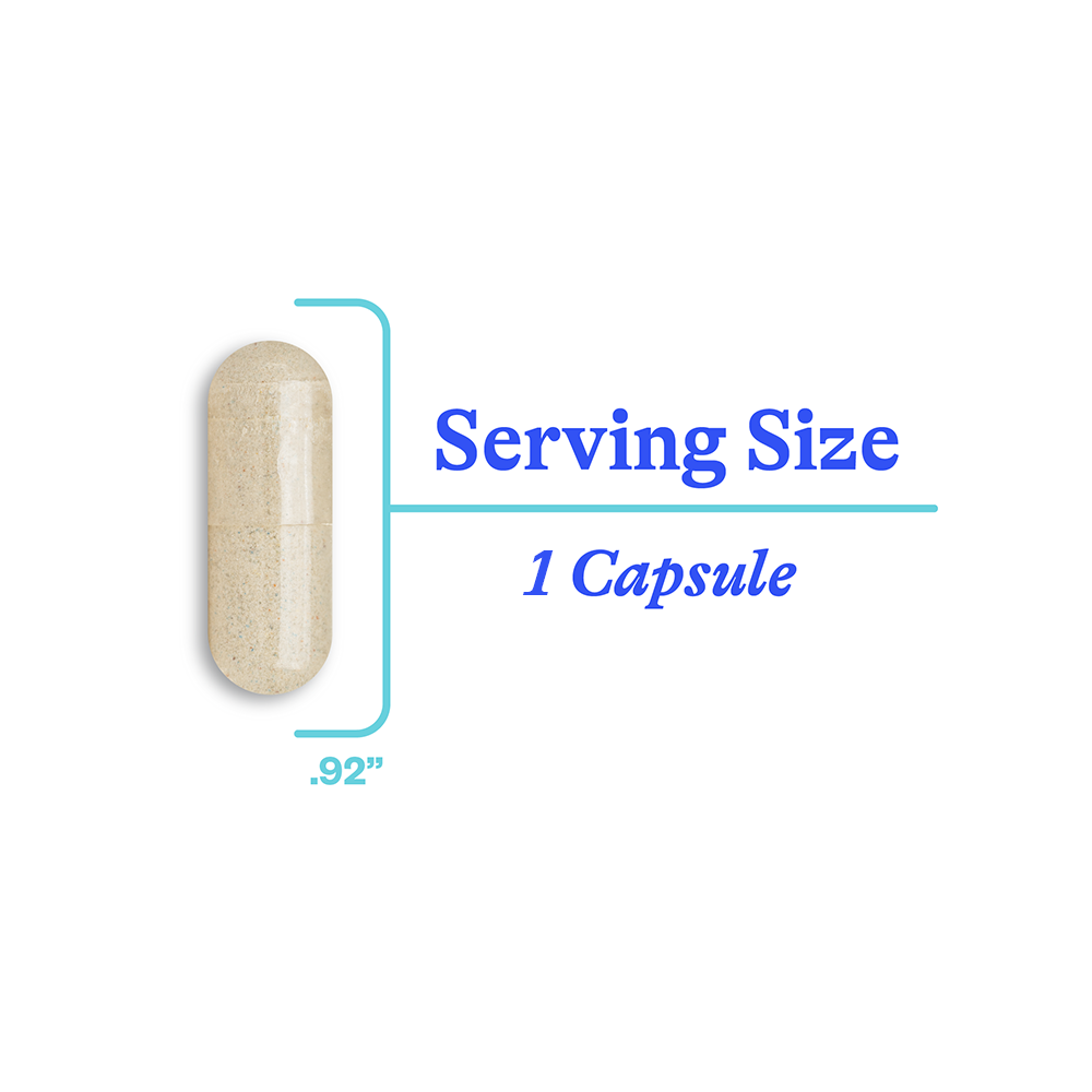 Optimal Focus - Smart Routine Choice