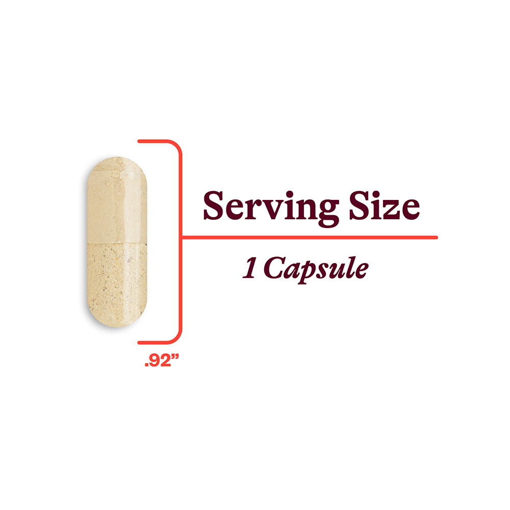 Multivitamin One - Everyday Health Routine