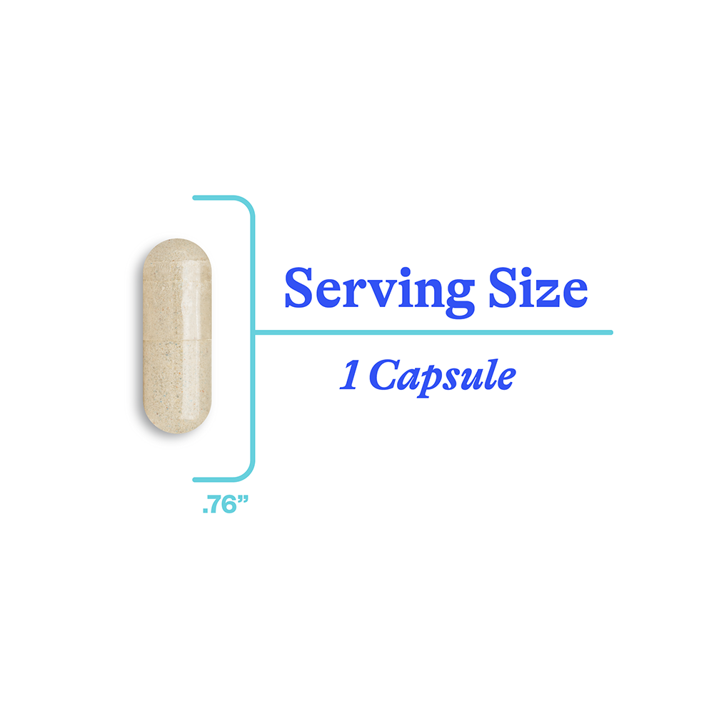Phosphatidyl Serine - Smart Routine Choice