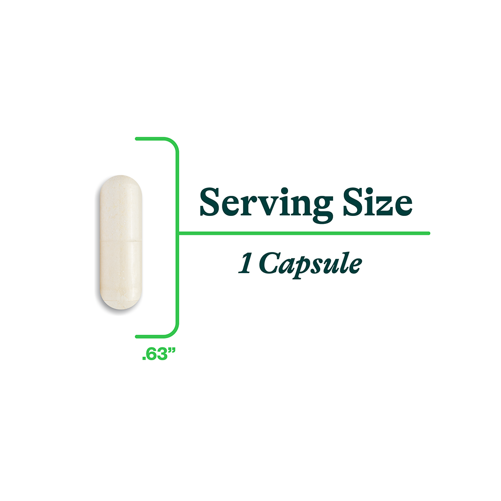 Zinc Carnosine - Smart Routine Choice
